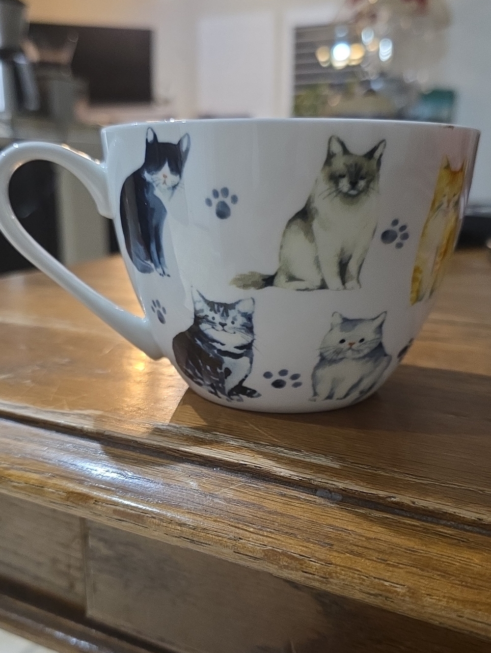 Portobello By Design Cat Pattern Ceramic Pet Lover Mug - 20 Oz